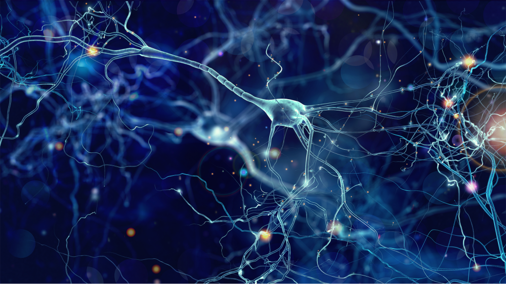 Mayo Clinic Uncovers Brain Cell Changes That Could Explain Tourette Syndrome